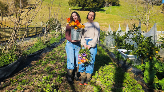One year of Bramble Flower Farm